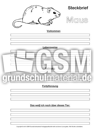 Maus-Steckbriefvorlage-sw.pdf